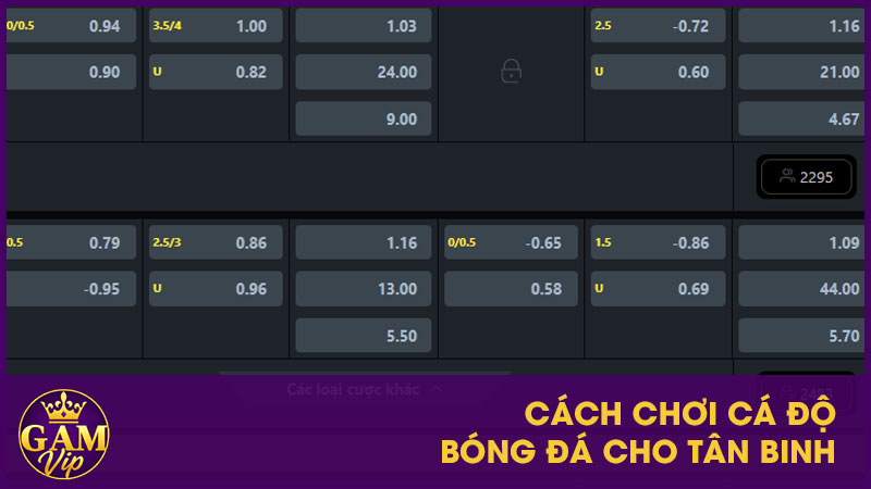 Cách chơi cá độ bóng đá cho tân binh