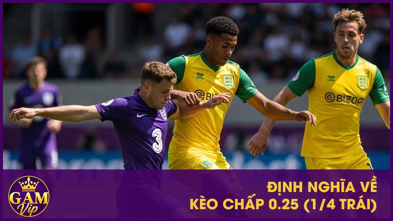 Định nghĩa về kèo chấp 0.25 (1/4 trái) 