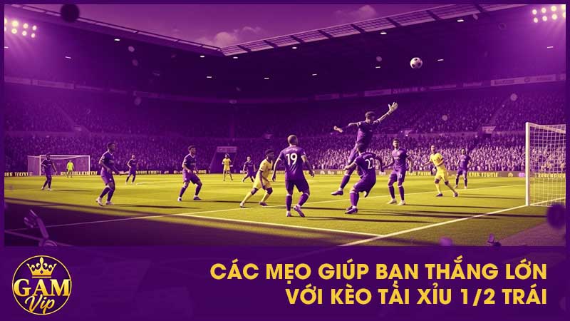 Các mẹo giúp bạn thắng lớn với kèo tài xỉu 1/2 trái